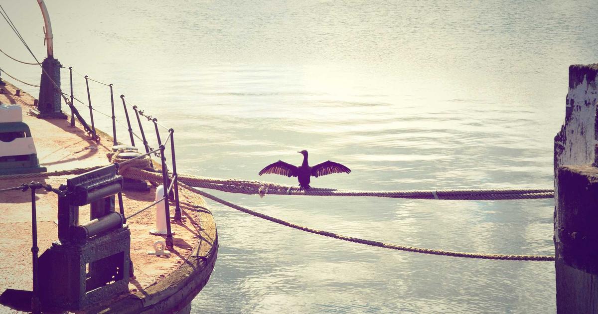 오메가3 브랜드별 효능 비교 2026 총정리 — 쿠팡 베스트셀러 TOP 5 순위와 고르는 법