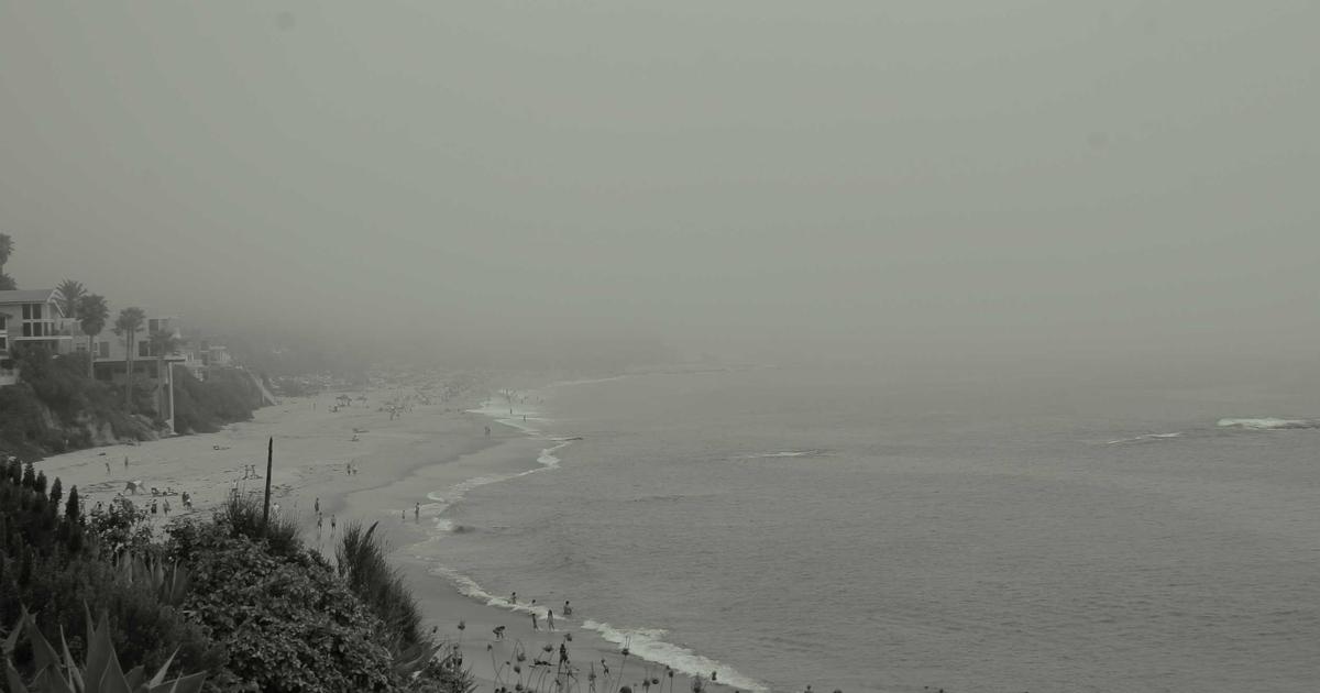 오메가3 영양제 추천 2026 — rTG 오메가3 흡수율·성분 비교 & 쿠팡 인기 제품 TOP 5 총정리