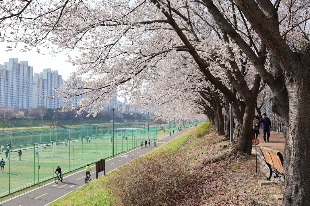 featured 1775277955394