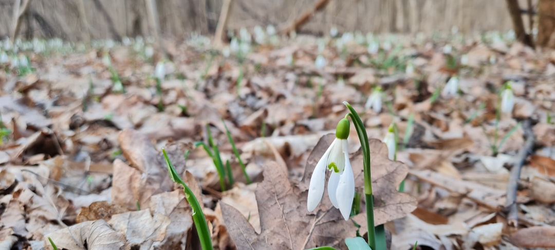 2026 봄 단기 다이어트 실전기, 단백질쉐이크·식단관리 베스트셀러 고를 때 놓치는 7가지