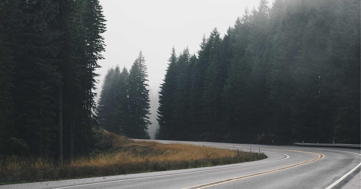 겨울철 면역력 강화와 체중 관리 동시에 돕는 프리미엄 코엔자임Q10 영양제 리뷰