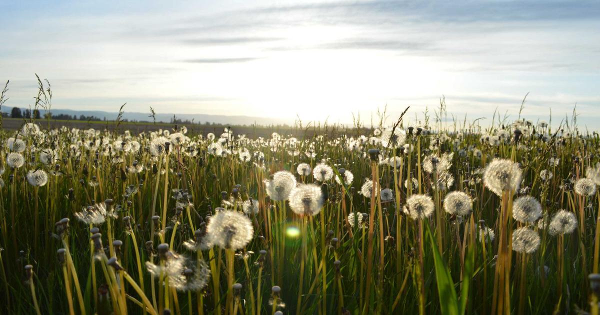 프로바이오틱스 유산균 추천 순위