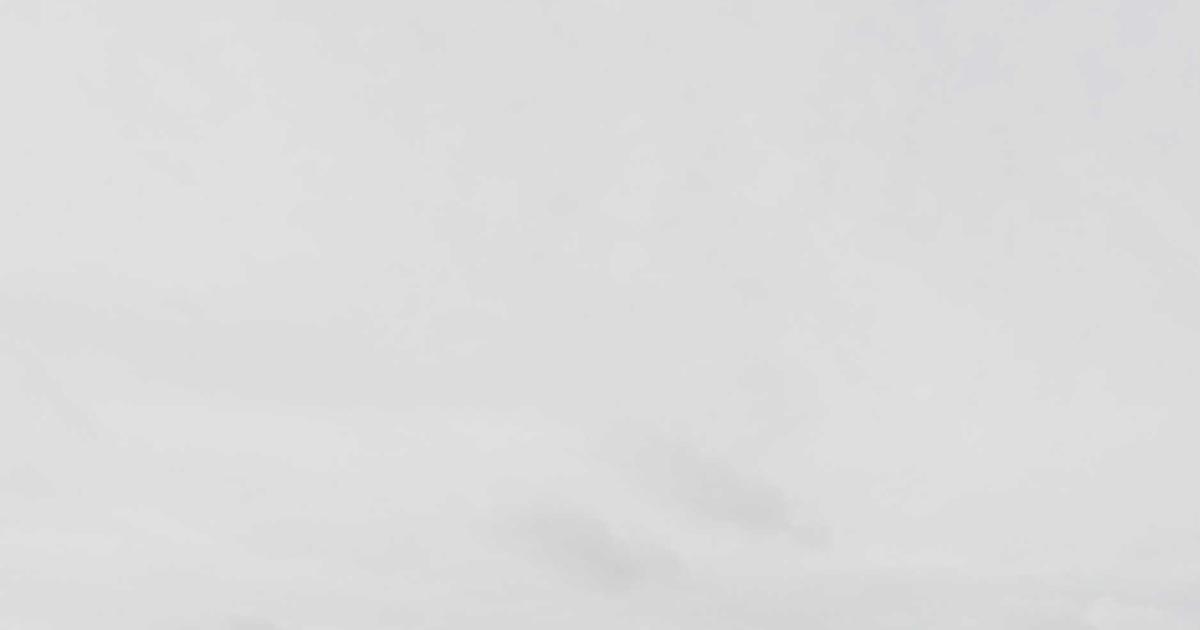 단백질보충제 WPC WPI 차이