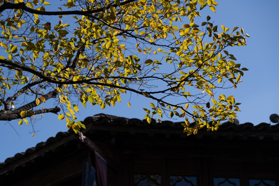 홈트레이닝 기구 추천 초보