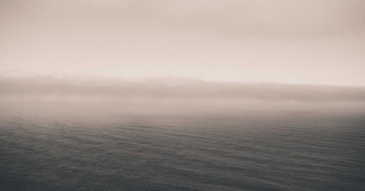 수면영양제 멜라토닌 vs 테아닌