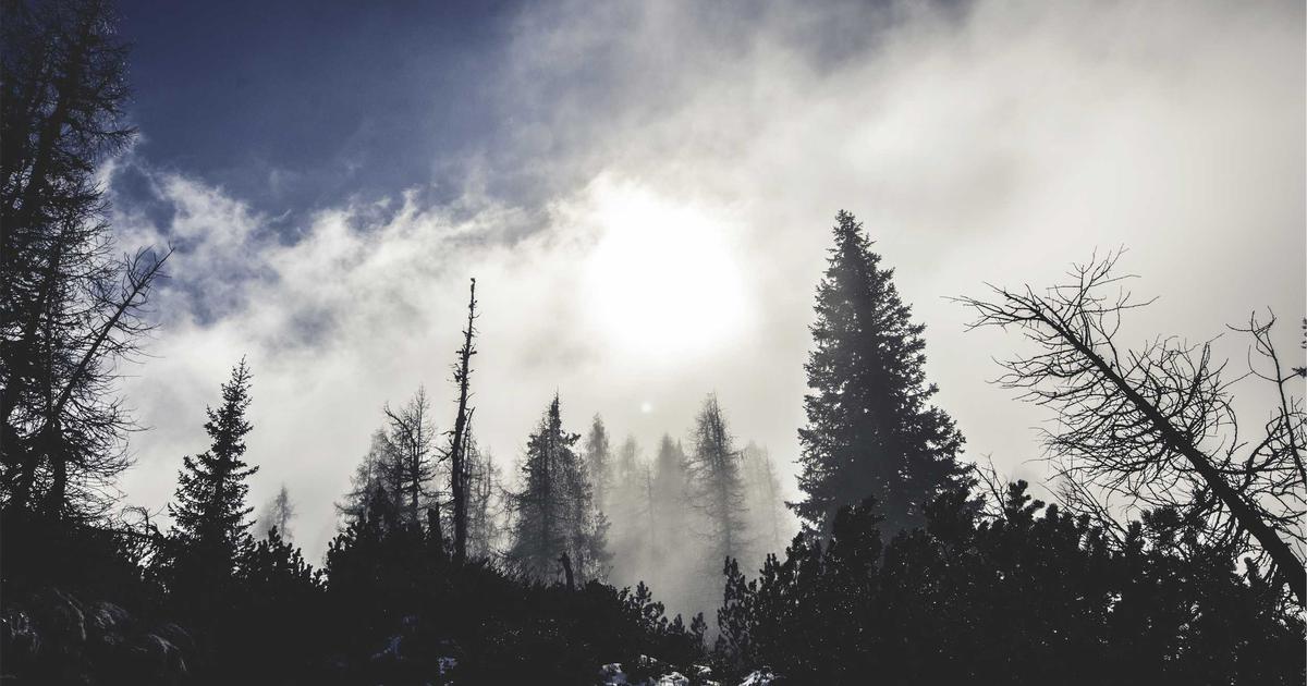 featured 1777126928372