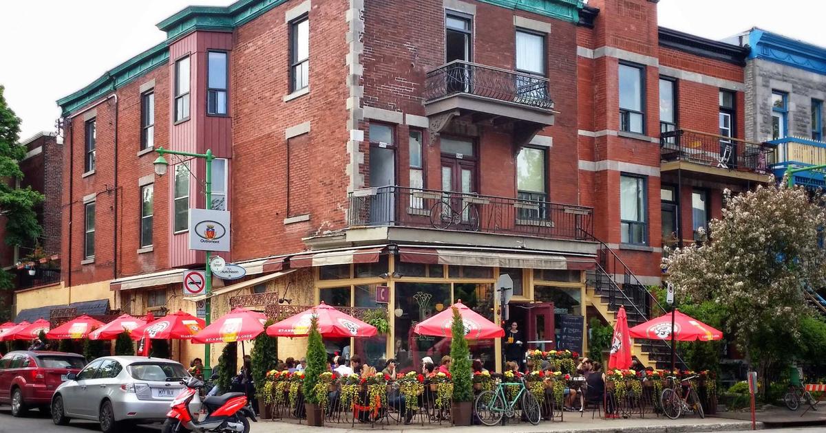 베르베린 효능 TOP 5 — 혈당 다이어트 2026 후기