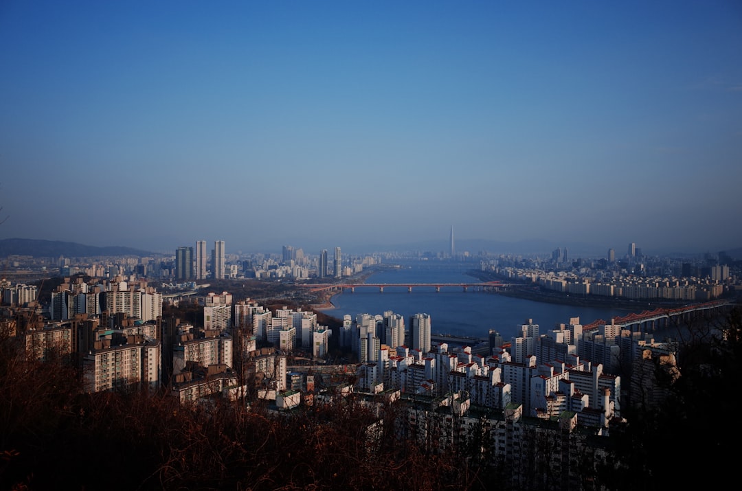위고비 변비 차전자피 추천 성분과 섭취 전 체크포인트
